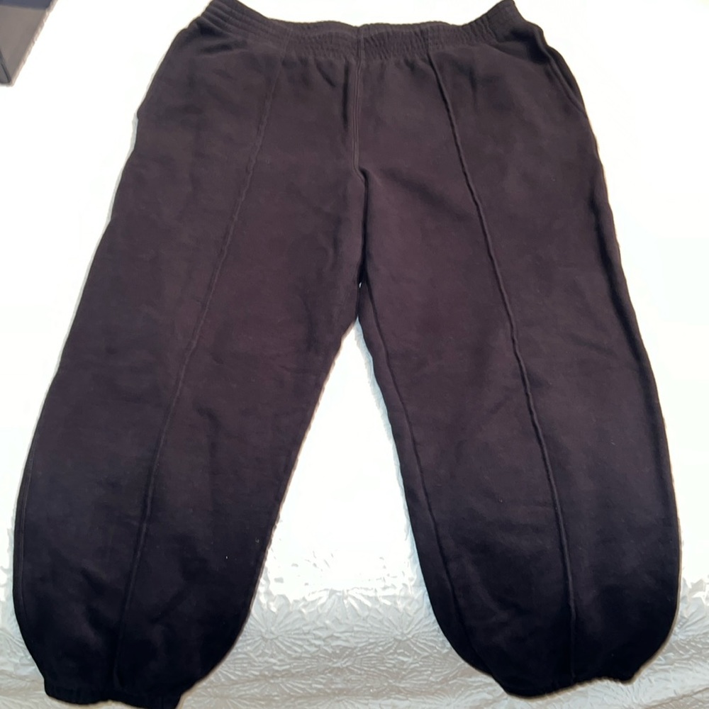 Aritzia Cozy Fleece Sweatpants